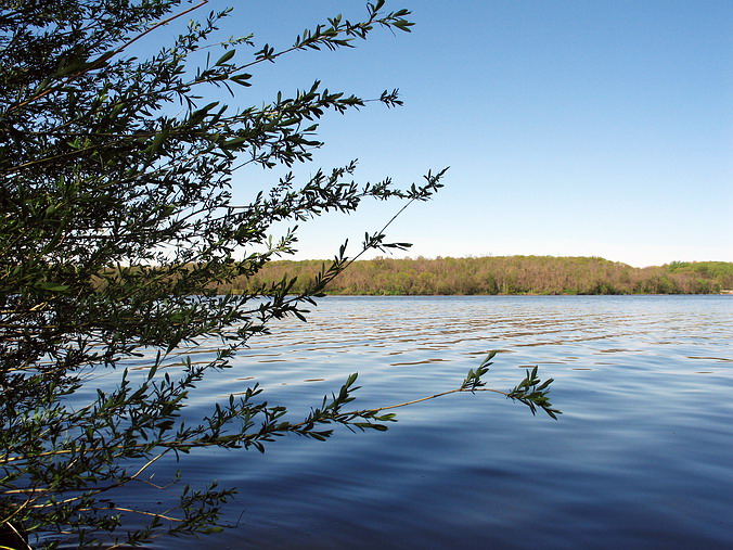 "���� ������ ������ ������"...