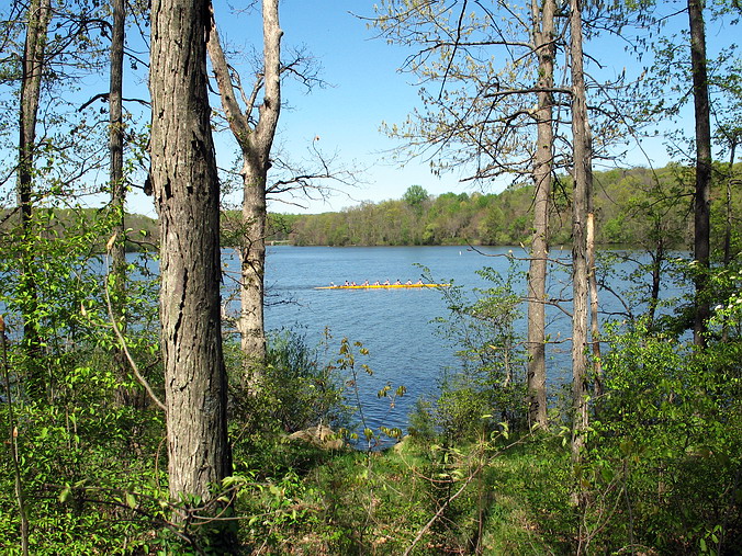 - �������� ����� ����! ��� � ������ �����������?..