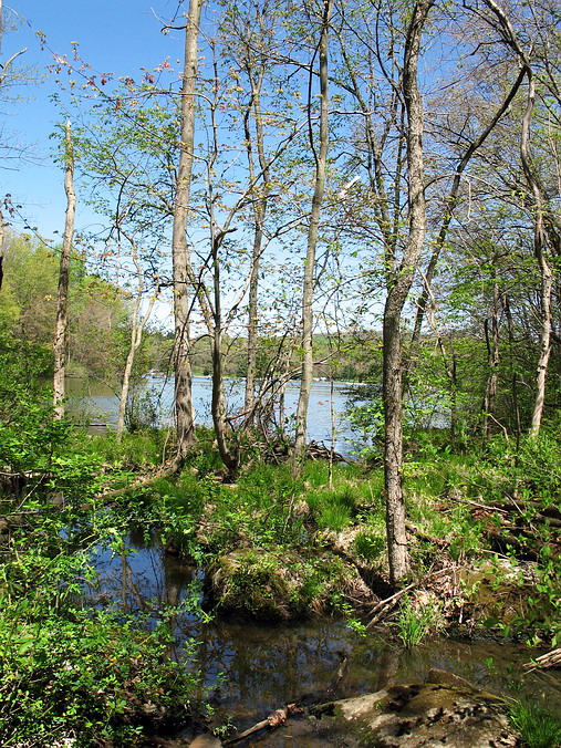 "�������, ����, ����"...