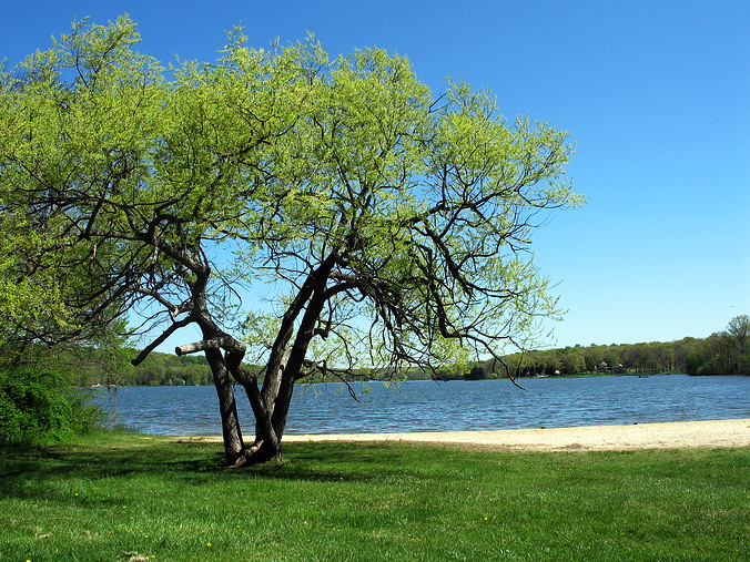 After: ����� ��������� - ����� ��� ��������!..