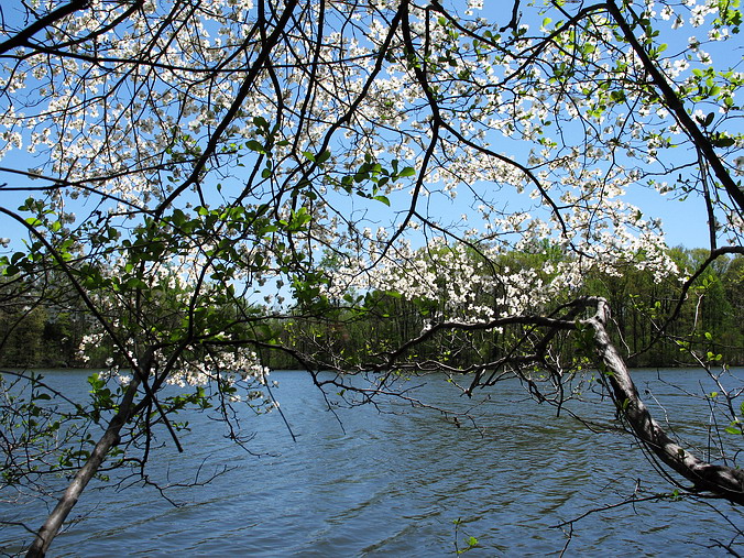 �����... ������� ��������, ������������ ��������� ������ ������...