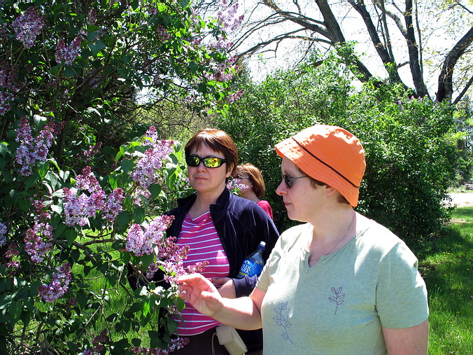 "��������� ������ - 2"...