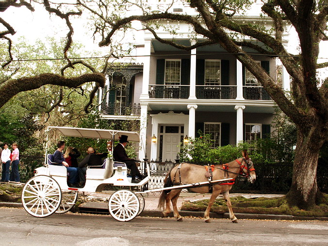 New Orleans, Spring 2005