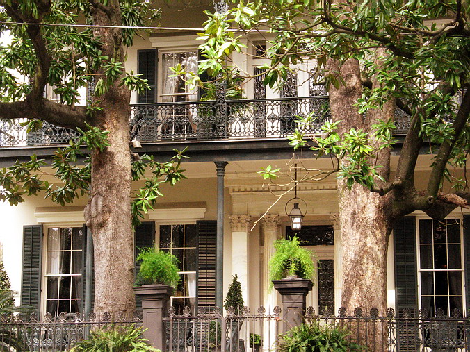 New Orleans, Spring 2005