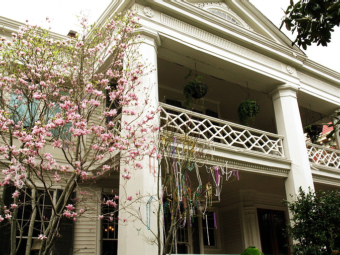 New Orleans, Spring 2005
