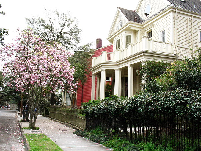 New Orleans, Spring 2005