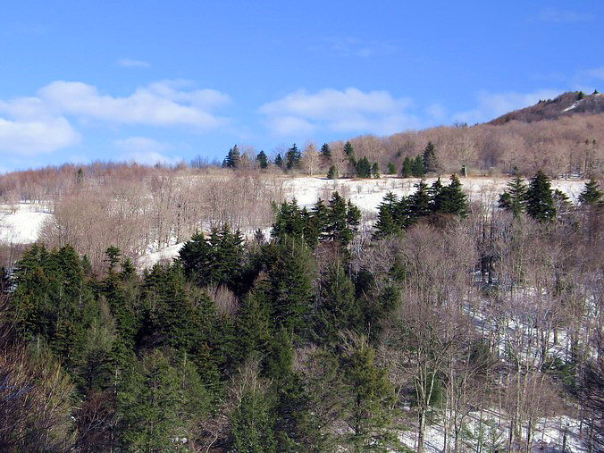 Canaan Valley, West Virginia •  