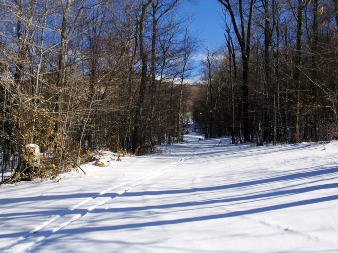 Canaan Valley, West Virginia •  