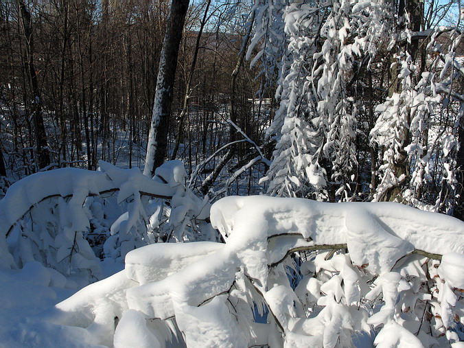 Canaan Valley, West Virginia •  