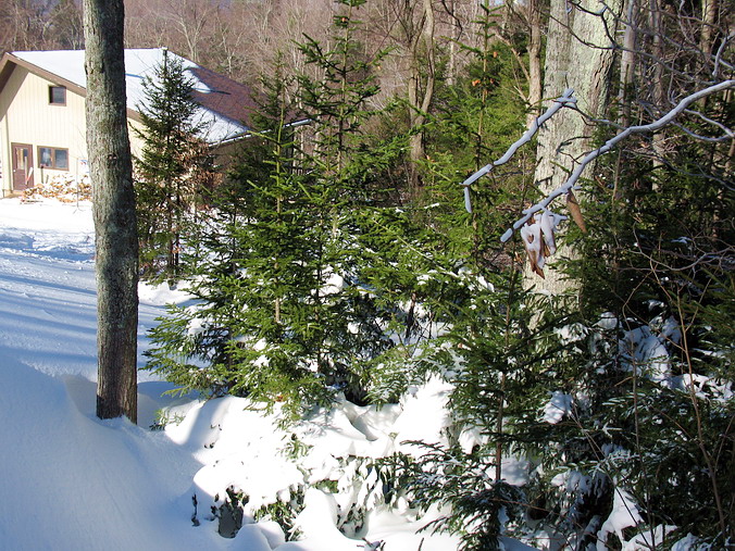 Canaan Valley Ski Resort, West Virginia •  