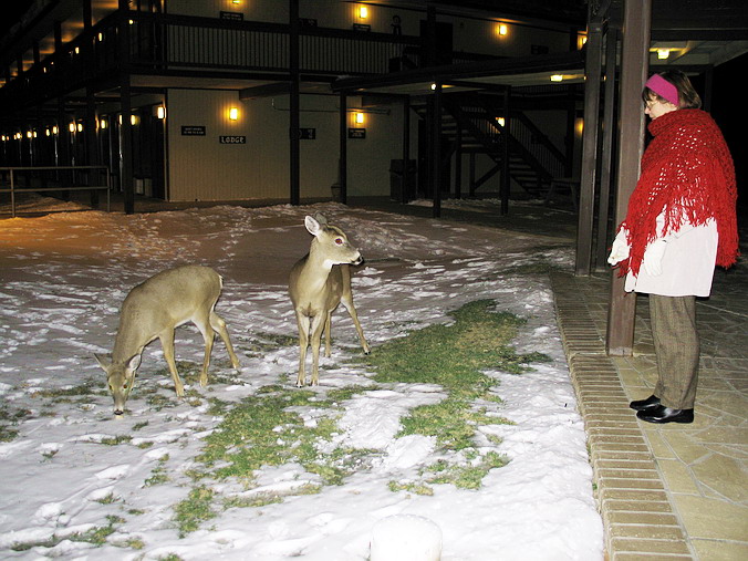  . - …
Canaan Valley Resort and Conference Center, West Virginia