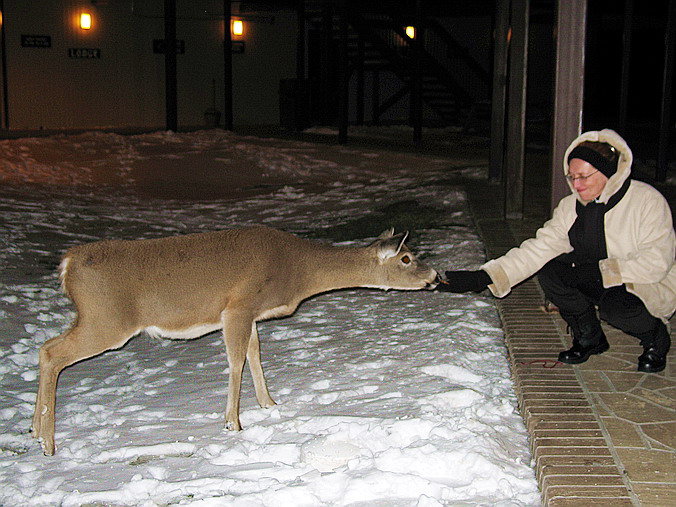   –   --…
Canaan Valley Resort and Conference Center, West Virginia