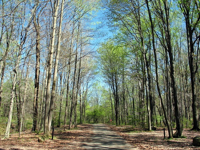   • Ohiopyle, Kentuck Campground, Pennsylvania