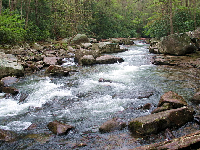 Ohiopyle State Park • Pennsylvania