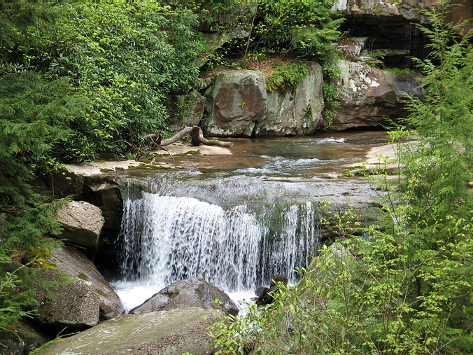 Ohiopyle State Park • Pennsylvania