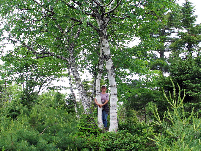 Nova Scotia, Cape Breton, Canada •  , 