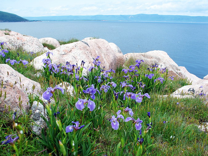 Nova Scotia, Cape Breton, Canada •  , 