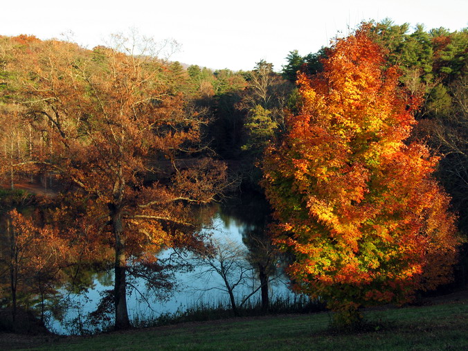   …
 . ,   •
Fall, Christmas. Biltmore Estate. Asheville, North Carolina