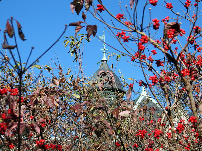   …
 . ,   •
Fall, Christmas. Biltmore Estate. Asheville, North Carolina