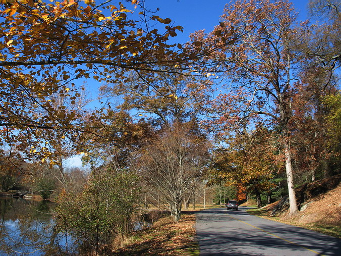   …
 . ,   •
Fall, Christmas. Biltmore Estate. Asheville, North Carolina