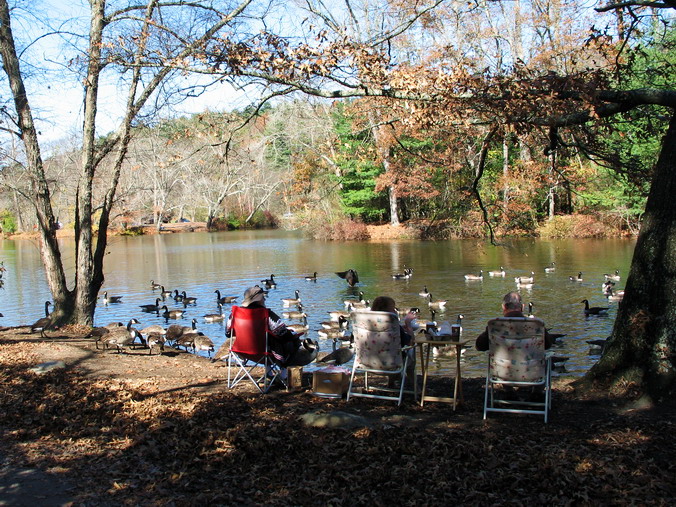 ,  …
 . ,   •
Fall, Christmas. Biltmore Estate. Asheville, North Carolina