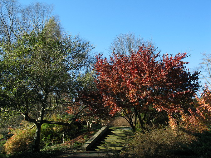   …
 . ,   •
Fall, Christmas. Biltmore Estate. Asheville, North Carolina