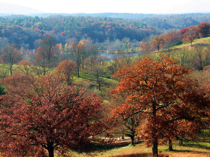   …
 . ,   •
Fall, Christmas. Biltmore Estate. Asheville, North Carolina