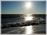 Cape Henlopen State Park, Delaware