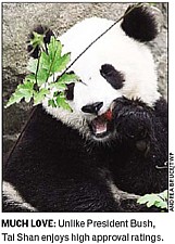 © Washington Post Express & TWP